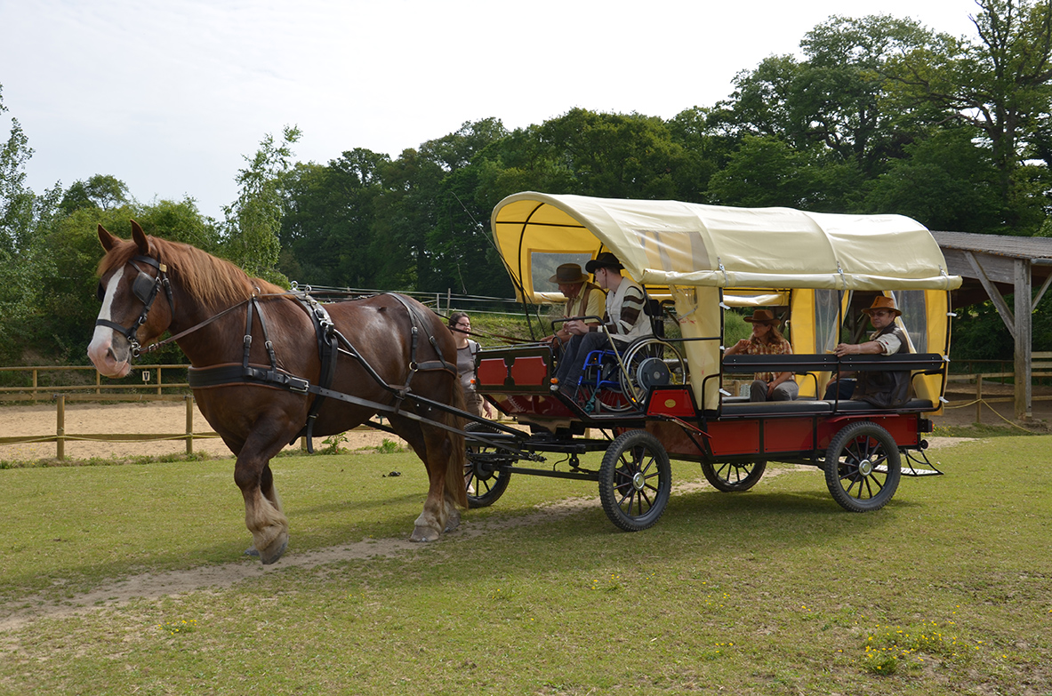 Caleche accessible en fauteuil roulant