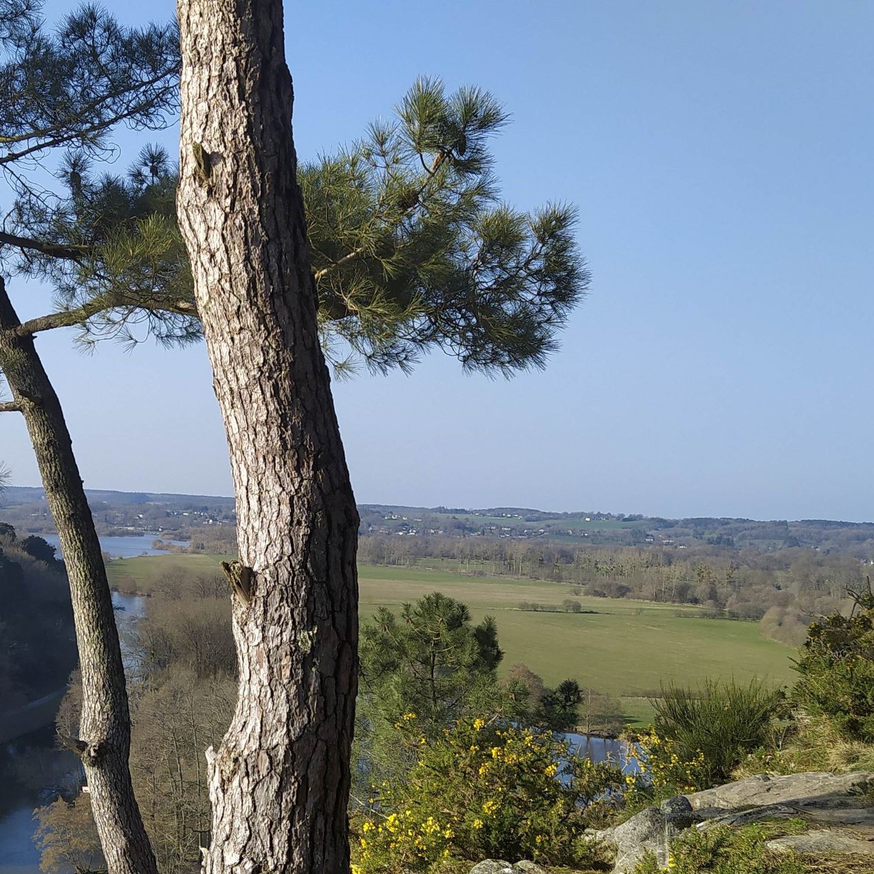 ¨Point de vue à l'île aux pies, Bains sur Oust