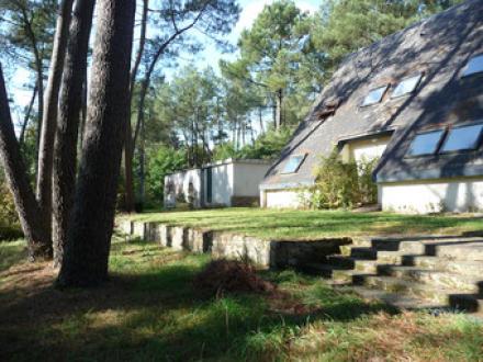 batiment-touristique-a-vendre-dans-un-bois-pres-du-canal-de-nantes-a-brest-et-de-l-ile-aux-pies-pres-de-redon.jpg